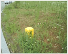  2025Ÿ��42218 ��� ���ý� ������ ���ظ� 358-4      ����(��1)���