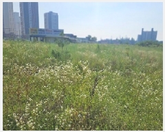  2025Ÿ��42218 ��� ���ý� ������ ���ظ� 358-4      ����(��1)���