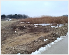  2025Ÿ257  ý ؼ  262-2      ()