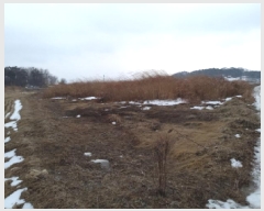  2025Ÿ257  ý ؼ  262-2      ()