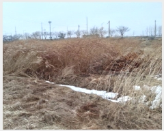  2025Ÿ257  ý ؼ  262-2      ()