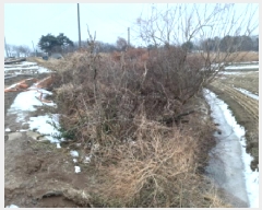  2025Ÿ257  ý ؼ  262-2      ()