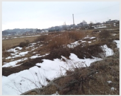  2025Ÿ257  ý ؼ  262-2      ()