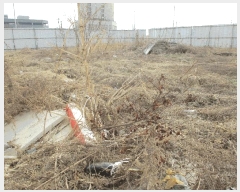  2025Ÿ526  ý   722-3      ()