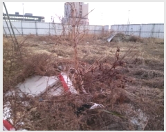  2025Ÿ526  ý   722-3      ()