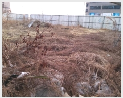  2025Ÿ526  ý   722-3      ()