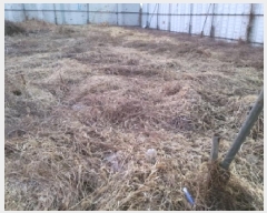  2025Ÿ526  ý   722-3      ()