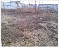  2025Ÿ526  ý   722-3      ()