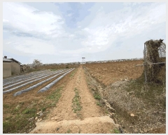  2025Ÿ540  ý û浿 221-1       (1)