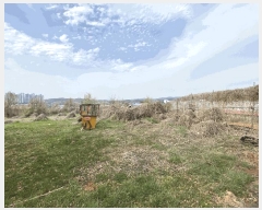  2025Ÿ540  ý û浿 221-1       (1)