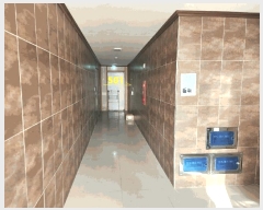  2025Ÿ547  ý  ߸ 305-6 101ȣ     ,繫ǰ