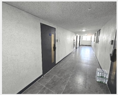  2025Ÿ578  ý 嵿 238-20 غ3  5504ȣ    Ʈ