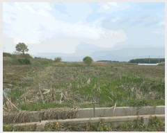  2025Ÿ��618  ����