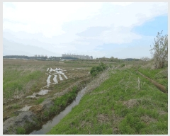  2025Ÿ��618  ����