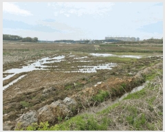  2025Ÿ��618  ����