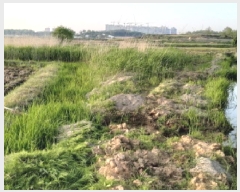  2025Ÿ��618  ����