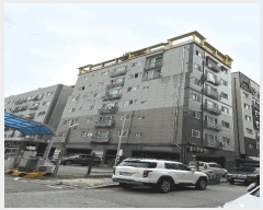  2025Ÿ��769  ���ǽ��ڰ��