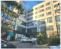  2025Ÿ��799  ���ǽ��ڰ��