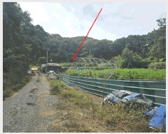  2025Ÿ��806  �����