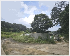  2025Ÿ��806  �����