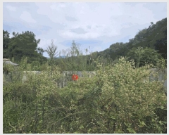  2025Ÿ��806  �����