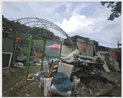  2025Ÿ��806  �����