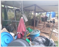  2025Ÿ��806  �����