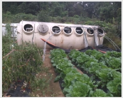  2025Ÿ��806  �����