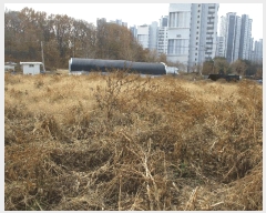  2025Ÿ��909 ��� ���ý� �׹鵿 403       ����(��)���