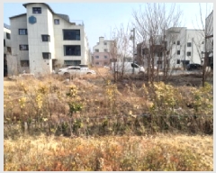  2025Ÿ��41436  �������