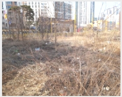  2025Ÿ��41436  �������