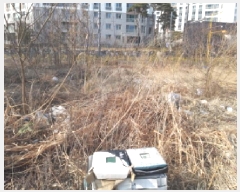  2025Ÿ��41436  �������