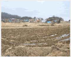  2025Ÿ��41511 ��� ���ý� ������ ��긮 472-2      ����(��)���