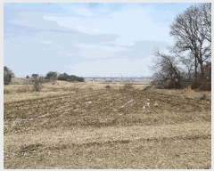  2025Ÿ��41511 ��� ���ý� ������ ��긮 472-2      ����(��)���