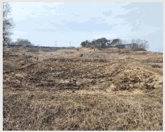  2025Ÿ��41511 ��� ���ý� ������ ��긮 472-2      ����(��)���