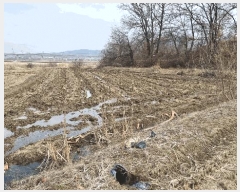  2025Ÿ��41511 ��� ���ý� ������ ��긮 472-2      ����(��)���