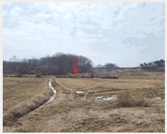  2025Ÿ��41511 ��� ���ý� ������ ��긮 472-2      ����(��)���