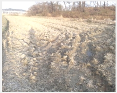  2025Ÿ��41511 ��� ���ý� ������ ��긮 472-2      ����(��)���