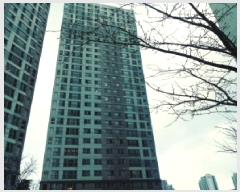  2025Ÿ41526  ȼ յ 584 ȼ׸ھƴƮ 106 9903ȣ    Ʈ