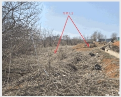  2025Ÿ41534  ý û ϸ 102-9      ()