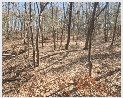  2025Ÿ41558  ý  ȸ 64-3      (Ӿ)