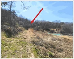  2025Ÿ41558  ý  ȸ 64-3      (Ӿ)