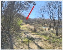  2025Ÿ41558  ý  ȸ 64-3      (Ӿ)