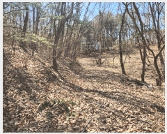  2025Ÿ41558  ý  ȸ 64-3      (Ӿ)