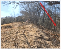  2025Ÿ41558  ý  ȸ 64-3      (Ӿ)