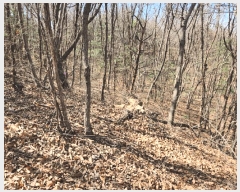  2025Ÿ41558  ý  ȸ 64-3      (Ӿ)