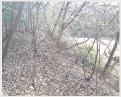  2025Ÿ41558  ý  ȸ 64-3      (Ӿ)