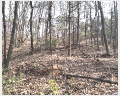  2025Ÿ41558  ý  ȸ 64-3      (Ӿ)