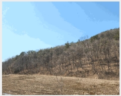  2025Ÿ��41603 ��� ���ý� ������ ��õ�� ��48-1      ����(�Ӿ�)���