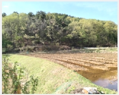  2025Ÿ��41603 ��� ���ý� ������ ��õ�� ��48-1      ����(�Ӿ�)���